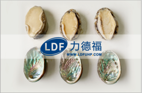 鮑魚(yú)脫殼效果.png